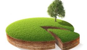 Ивещение о предоставлении земельного участка 