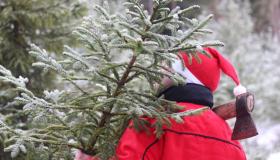 Безопасность. Новогодняя ёлка