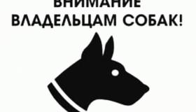 Вниманию владельцев собак!