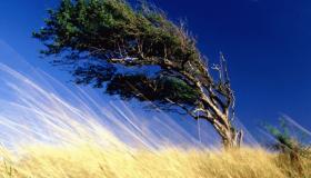 ПРЕДУПРЕЖДЕНИЕ  о неблагоприятном гидрометеорологическом явлении