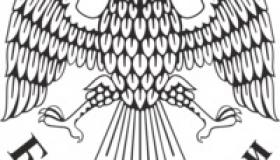 Предпринимателям Карелии расскажут, как принимать оплату товаров и услуг с помощью смартфона