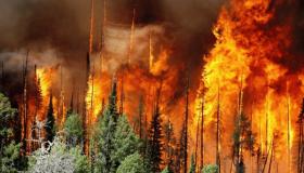 Об ухудшении обстановки с пожарами в Кемском районе